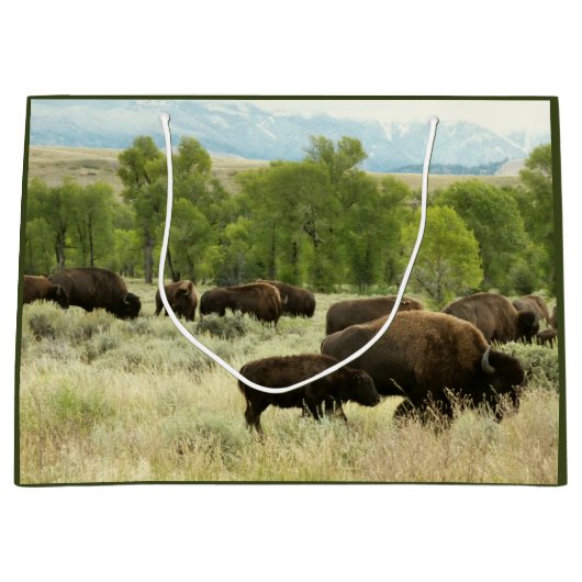 Wyoming Bison Natuur Animal Fotografie Groot Cadeauzakje (Voorkant)
