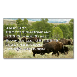 Wyoming Bison Natuur Animal Fotografie Magnetisch Visitekaartje