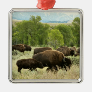 Wyoming Bison Natuur Animal Fotografie Metalen Ornament