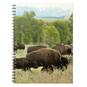 Wyoming Bison Natuur Animal Fotografie Notitieboek