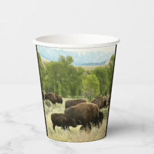 Wyoming Bison Natuur Animal Fotografie Papieren Bekers