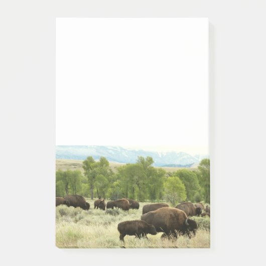 Wyoming Bison Natuur Animal Fotografie Post-it® Notes (Voorkant)