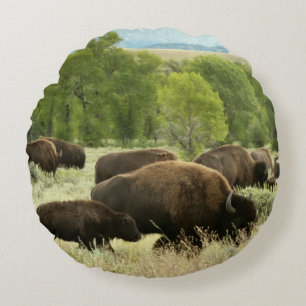Wyoming Bison Natuur Animal Fotografie Rond Kussen