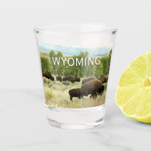 Wyoming Bison Natuur Animal Fotografie Shot Glas