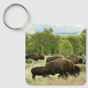 Wyoming Bison Natuur Animal Fotografie Sleutelhanger