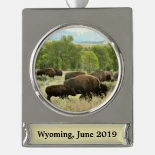 Wyoming Bison Natuur Animal Fotografie Verzilverd Banner Ornament