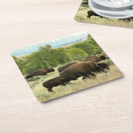 Wyoming Bison Natuur Animal Fotografie Vierkante Kartonnen Onderzetter (Schuin)