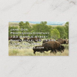 Wyoming Bison Natuur Animal Fotografie Visitekaartje
