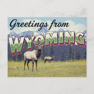 Wyoming Elk Grand Teton Mountains Briefkaart