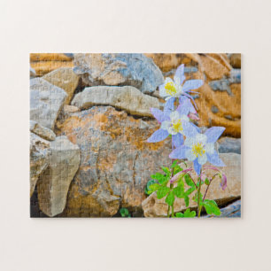 Wyoming, Grand Teton National Park 1 Legpuzzel