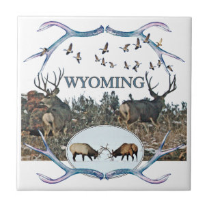 WYOMING in het wild Tegeltje