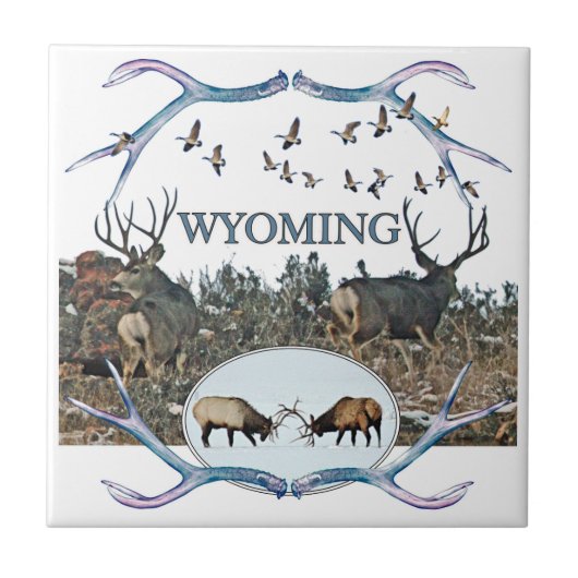 WYOMING in het wild Tegeltje (Voorkant)