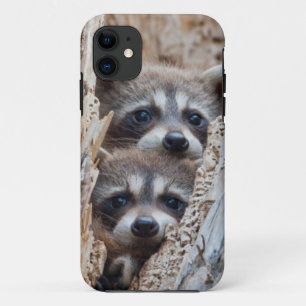 Wyoming, Lincoln County, Wasbeer iPhone 11 Hoesje