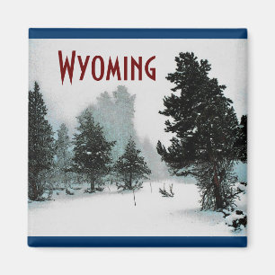 Wyoming Magnet Magneet