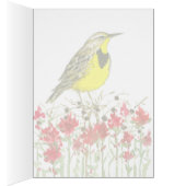 Wyoming Meadowlark Wildflower State Bird (Binnen (Rechts))