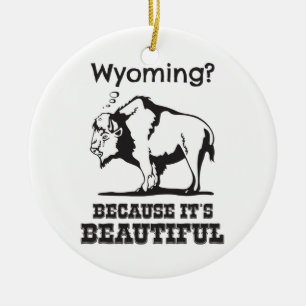 Wyoming? Omdat het prachtig is Keramisch Ornament