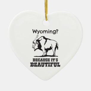 Wyoming? Omdat het prachtig is Keramisch Ornament