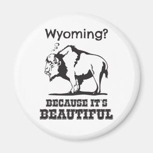 Wyoming? Omdat het prachtig is Magneet