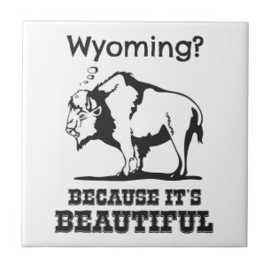 Wyoming? Omdat het prachtig is Tegeltje