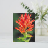 Wyoming Paintborstel Briefkaart (Staand voorkant)