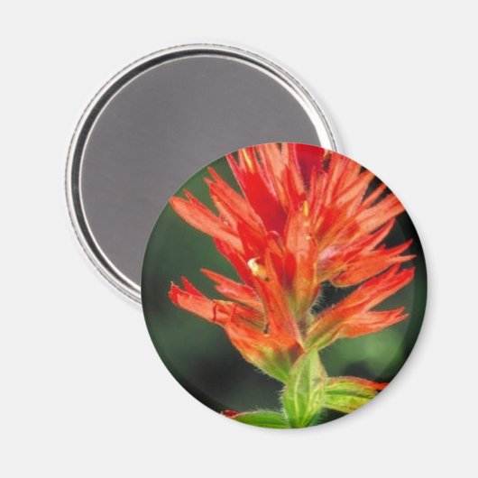 Wyoming Paintborstel Magneet (Voorkant / Achterkant)