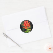 Wyoming Paintborstel Ronde Sticker (Envelop)