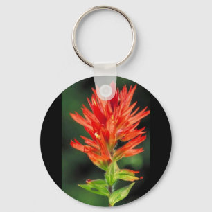 Wyoming Paintbrush Sleutelhanger