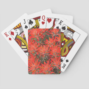 Wyoming, provincie Lincoln, woestijn, penseel Pokerkaarten