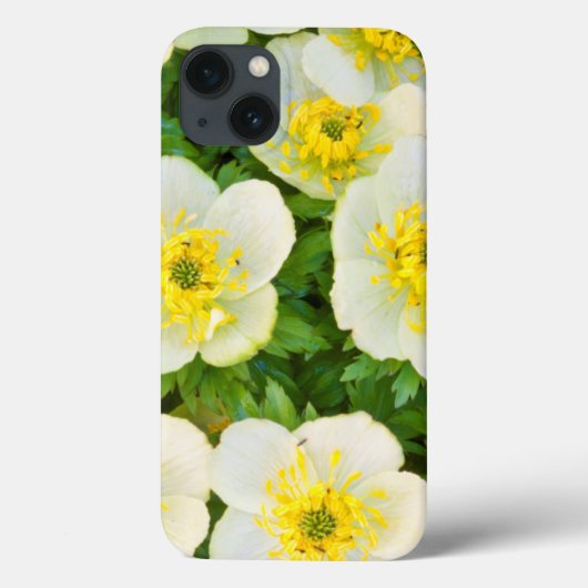 Wyoming, Sublette County, Close of a group Case-Mate iPhone Case (Achterkant)