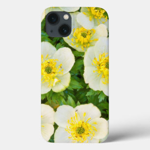 Wyoming, Sublette County, Close-up of a group iPhone 13 Hoesje