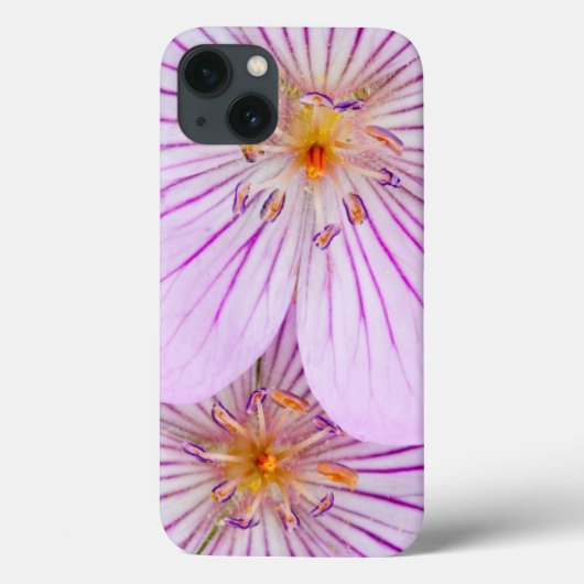 Wyoming, Sublette County, Close-up of two Sticky Case-Mate iPhone Case (Achterkant)