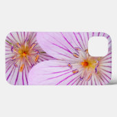Wyoming, Sublette County, Close-up of two Sticky Case-Mate iPhone Case (Achterkant (horizontaal))