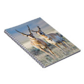 Wyoming, Sublette County, Gaffelbok rammen Notitieboek (Rechterzijde)