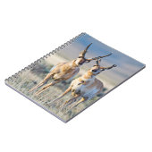 Wyoming, Sublette County, Gaffelbok rammen Notitieboek (Linkerzijde)