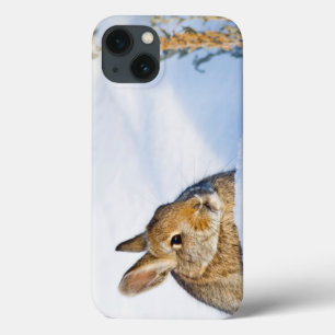 Wyoming, Sublette County, Nuttall's Cottontail iPhone 13 Hoesje