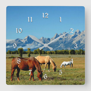 Wyoming, Teton Mountains, met paardengrazing Vierkante Klok