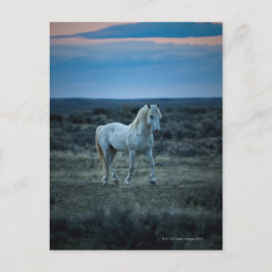 wyoming , verenigde staten van amerika briefkaart