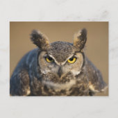 wyoming , vs briefkaart (Voorkant)