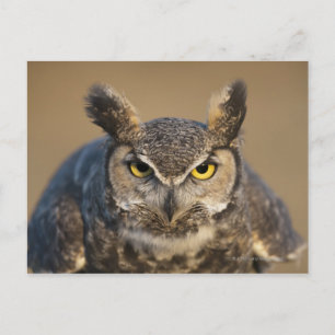 wyoming , vs briefkaart