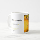X est pour la tasse xanthique d'alphabet (Devant gauche)