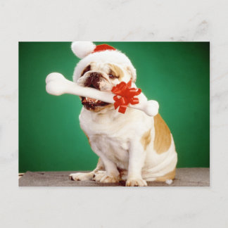 X-mas buldog met x-mas pet en bot briefkaart