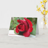 X Modèle de carte de voeux (Fleur jaune)