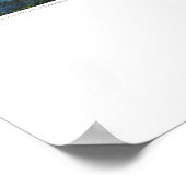 X-ray Hoesje kunst - Renal Lilypads van L. Rainey Poster (Hoek)