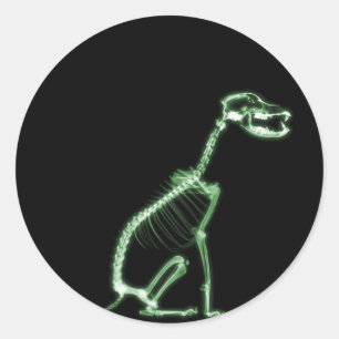 X-RAY PUPPY DOG SKELETON SITTING - GROEN RONDE STICKER