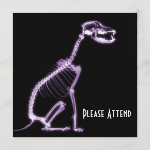 X-RAY PUPPY DOG SKELETON SITTING - PAARS KAART