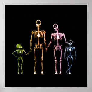X-Ray Skeletfamilie - Multicolor 4 Poster
