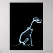 X-RAY SKELETON DOG SITTING - BLAUW EN ZWARTE POSTER (Voorkant)