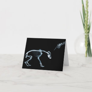 X-Ray Skeletons Blue Bad Dog Kaart