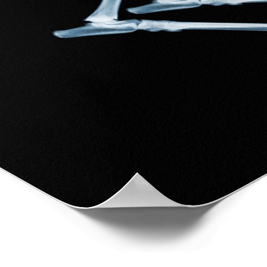 X-Ray Skeletons Blue Bad Dog Poster (Hoek)