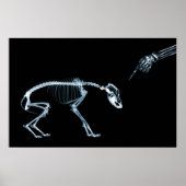 X-Ray Skeletons Blue Bad Dog Poster (Voorkant)